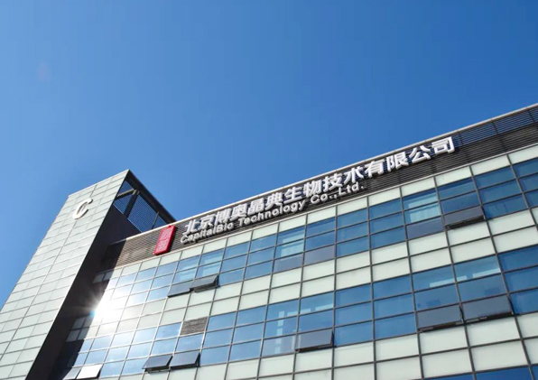 谈球吧概况